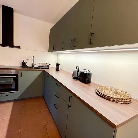 Altstadt Lounge With Parking Appartement