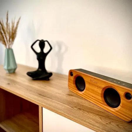 Altstadt Lounge With Parking Pirna